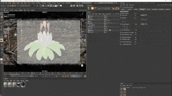 Motion Science All Premium Course