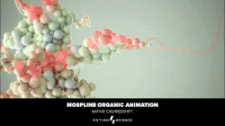 Motion Science All Premium Course